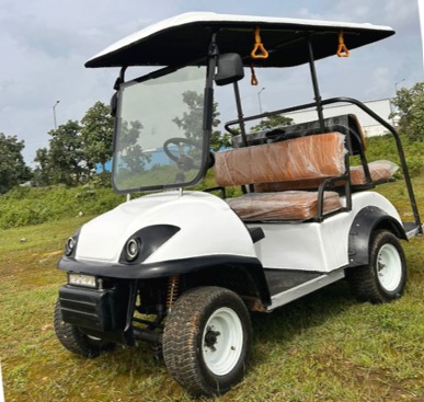 4 Seater Golf Cart Product