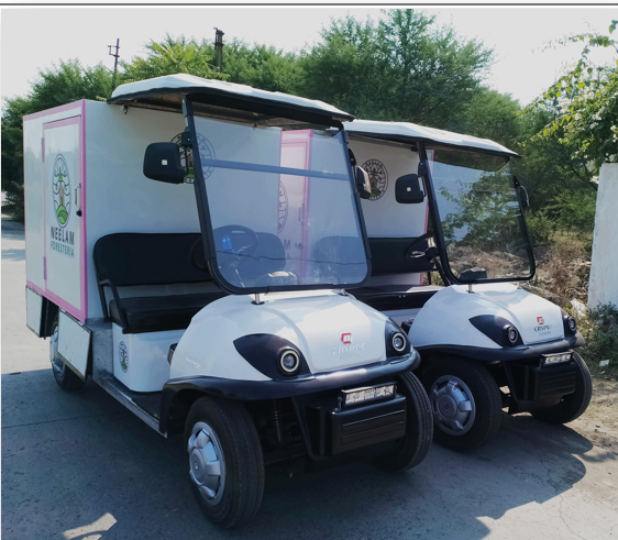 Electric Cargo & Utility Vehicle