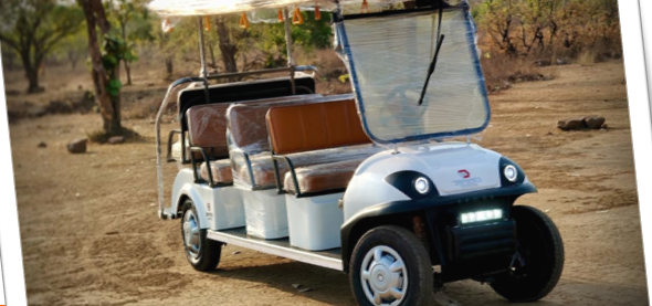 8 Seater Golf Cart